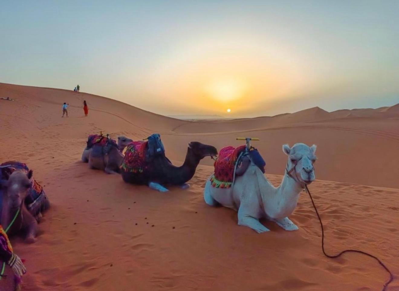 Merzouga Lovely Luxury Camp Exterior foto
